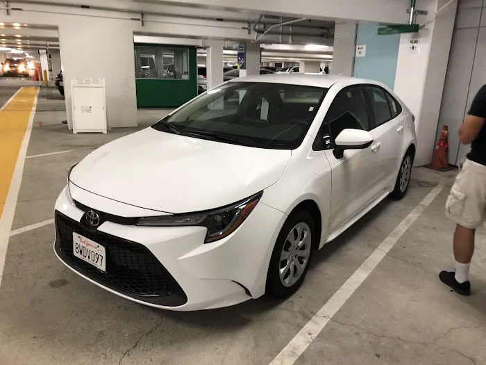 Alamo Rent A Car Picture 6