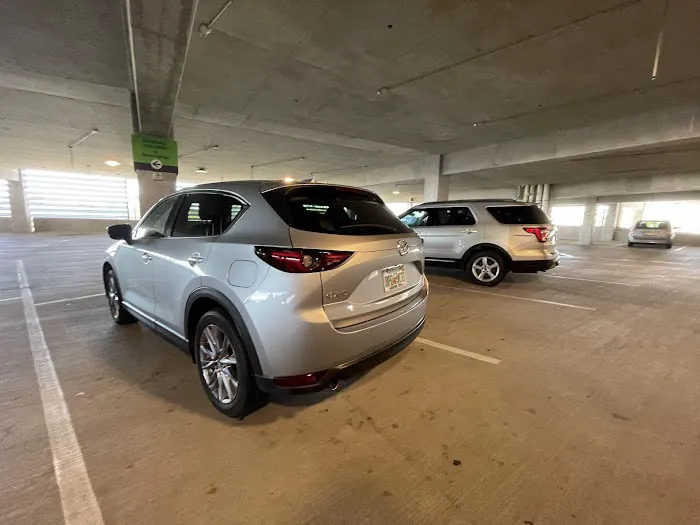 Alamo Rent A Car Picture 8