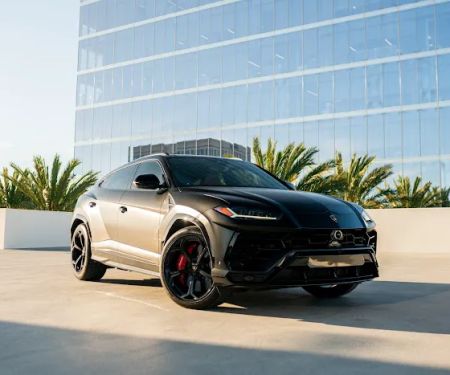 Monza Exotics