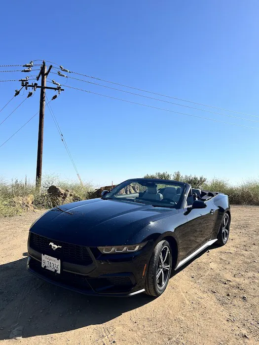 Alamo Rent A Car Picture 6