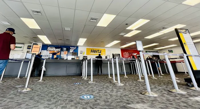 Budget Car Rental Picture 2