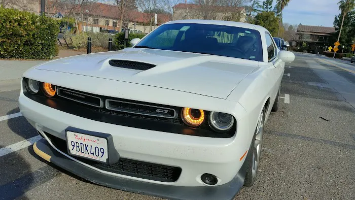 Avis Car Rental Picture 6