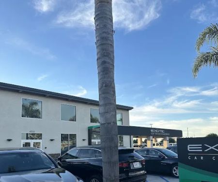 Enterprise Rent-A-Car