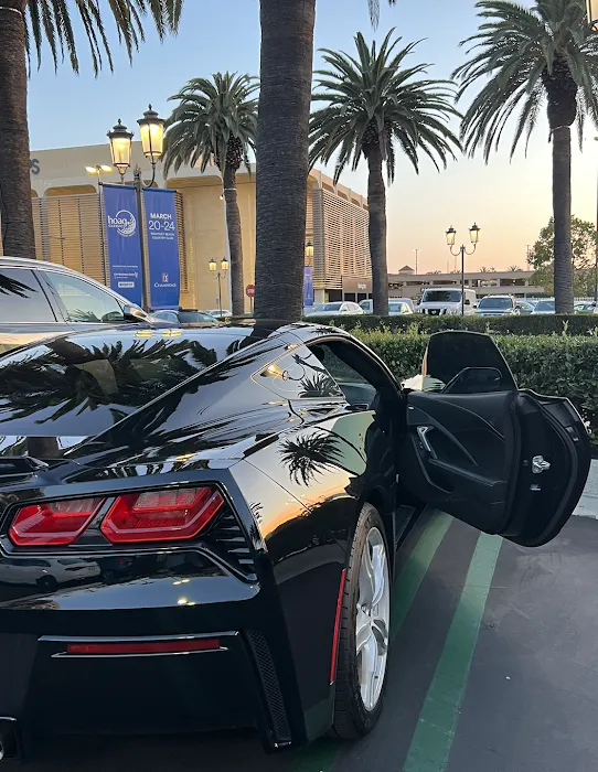 AM:PM Exotic & Luxury Rent-A-Car Picture 8
