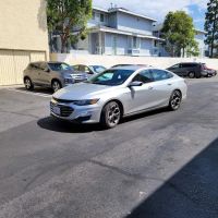 Budget Car Rental ico