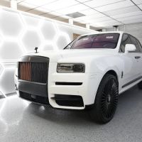 First Class Exotics ico