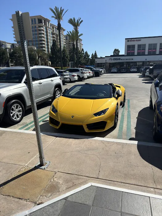 First Class Exotics Picture 7