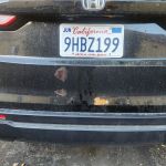 Avis Car Rental