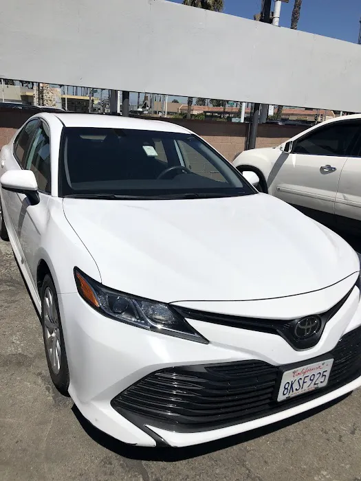 Avis Car Rental Picture 8