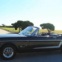 Route 66 Rent A Car ico