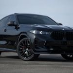 Jungle Exotic Rentals