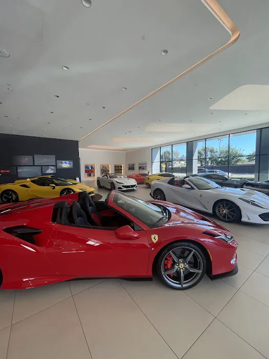 Newport Exotics Picture 3