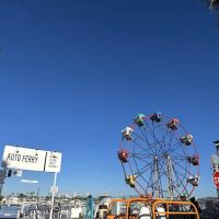 Newport Beach Moke Rentals & Repairs ico