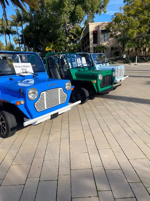 Newport Beach Moke Rentals & Repairs Picture 7
