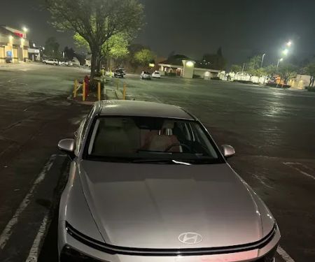 Avis Car Rental