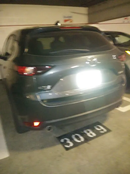Budget Car Rental Picture 1