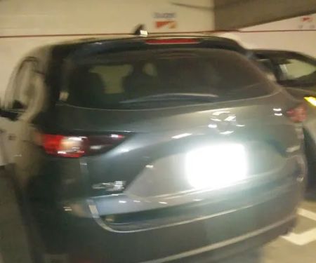 Budget Car Rental