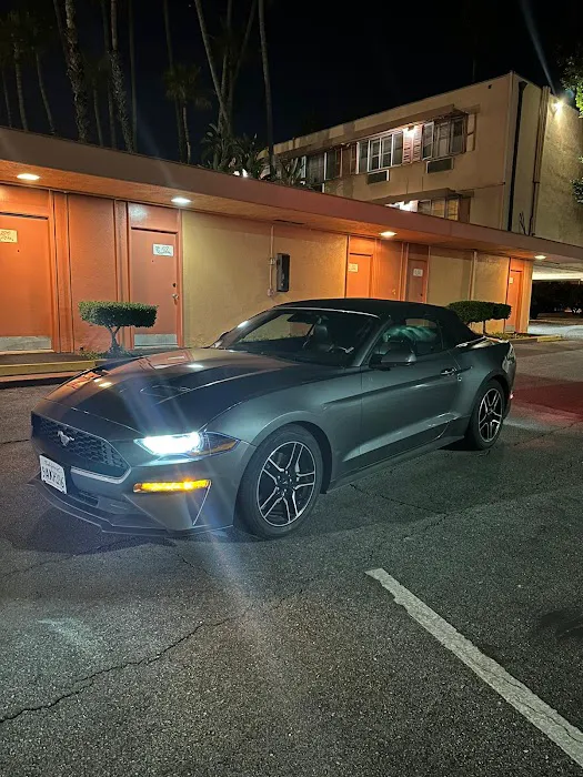 Avis Car Rental Picture 8