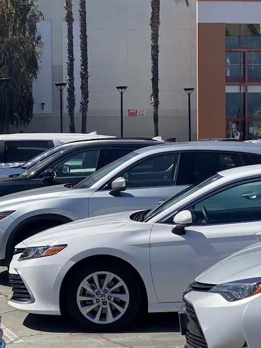 Avis Car Rental Picture 2