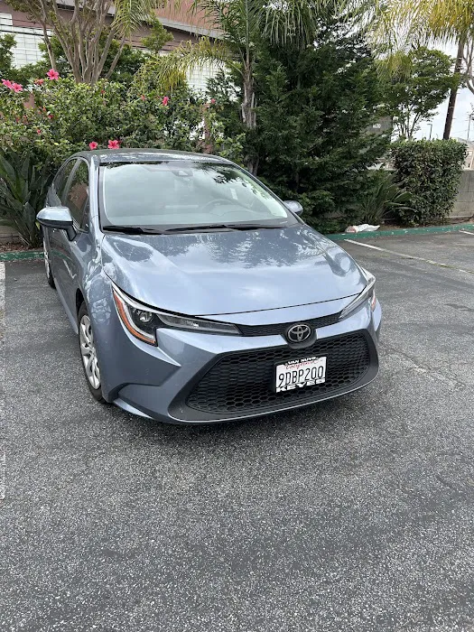 Sakura Rent A Car (Gardena) Picture 3