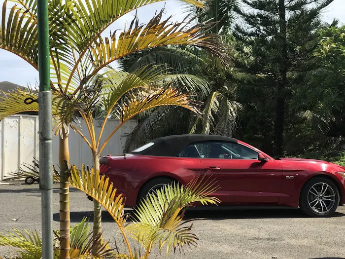 Avis Car Rental Picture 10