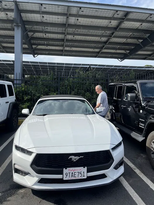 Avis Car Rental Picture 5