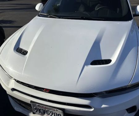 Avis Car Rental