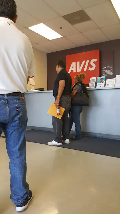 Avis Car Rental Picture 10