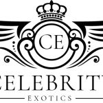 Celebrity Exotic Rentals