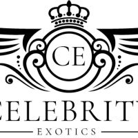 Celebrity Exotic Rentals ico