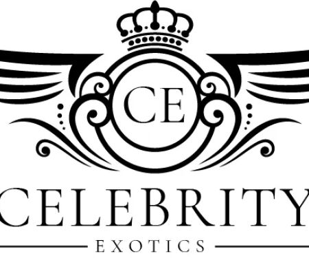Celebrity Exotic Rentals