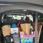 Avis Car Rental