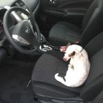 Enterprise Rent-A-Car