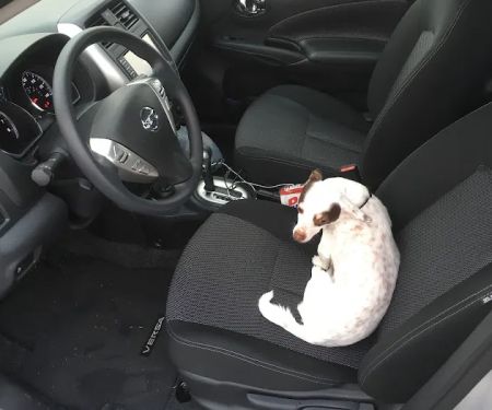 Enterprise Rent-A-Car