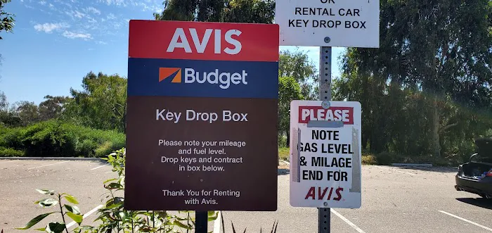 Avis Car Rental Picture 6