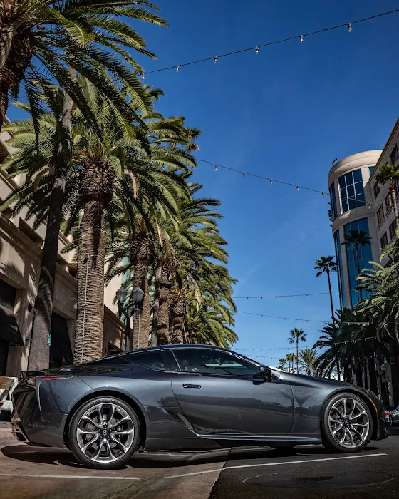 SD Cruising Rentals Picture 7