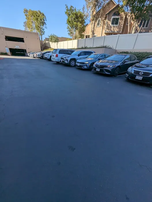 Budget Car Rental Picture 1
