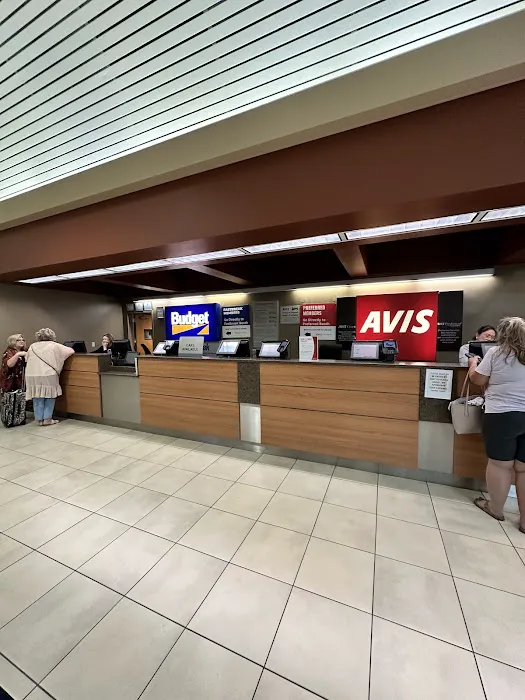 Avis Car Rental Picture 4