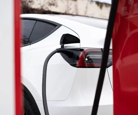 Pacific Ride Tesla Rentals