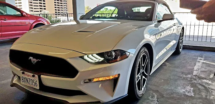 Avis Car Rental Picture 7