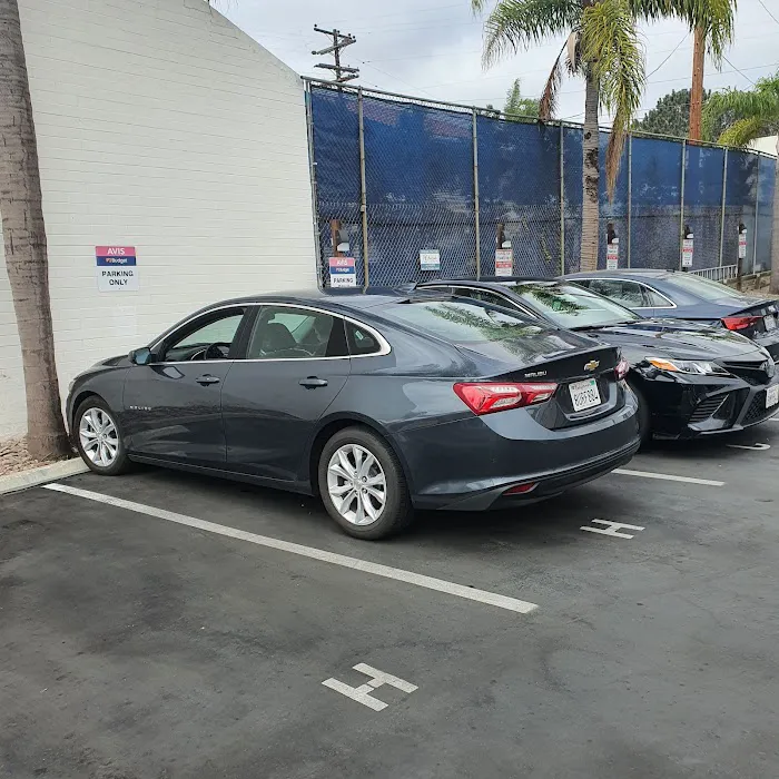 Budget Car Rental Picture 1