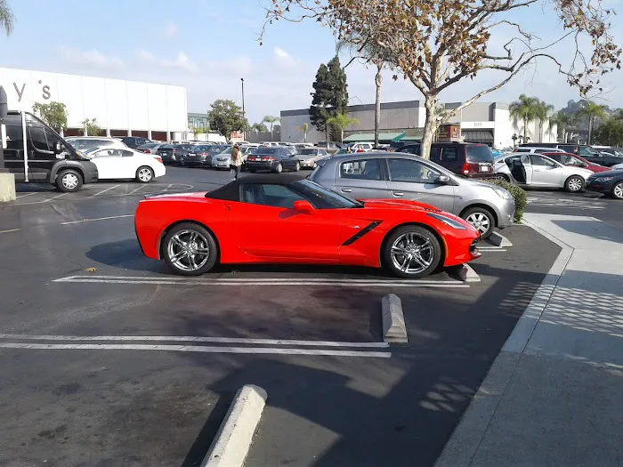 Exotic Car Collection by Enterprise Picture 7