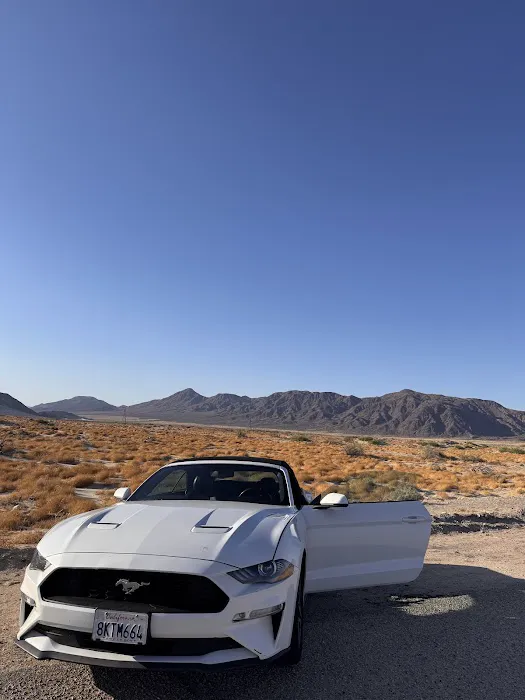Dirt Cheap Car Rental Picture 2