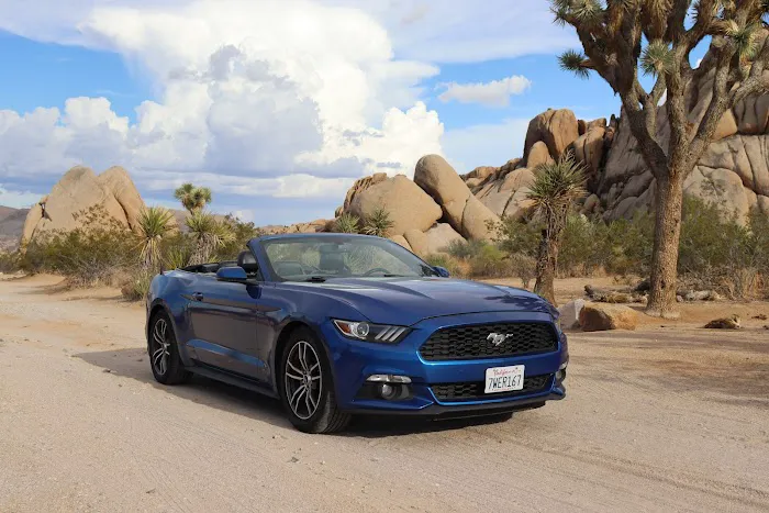 Dirt Cheap Car Rental Picture 1