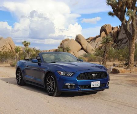 Dirt Cheap Car Rental