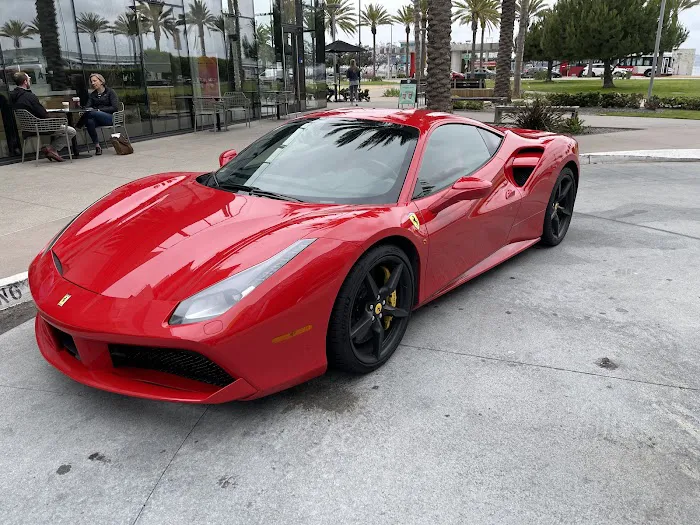 Studinovski Exotics Picture 10