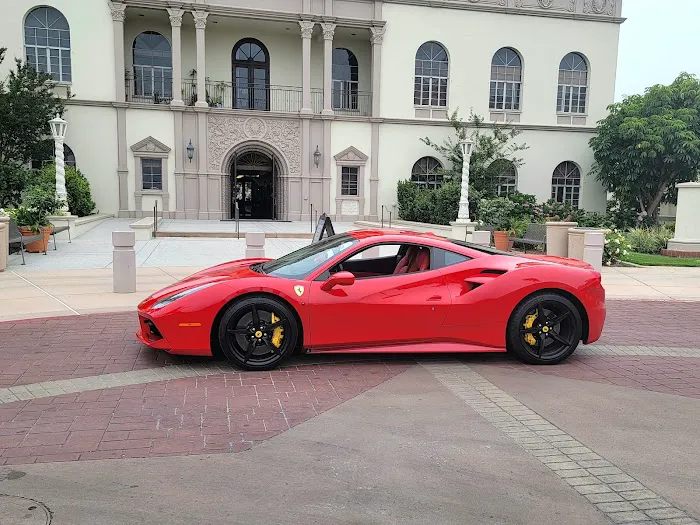 Studinovski Exotics Picture 9