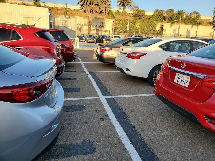Hertz Uber Picture 6