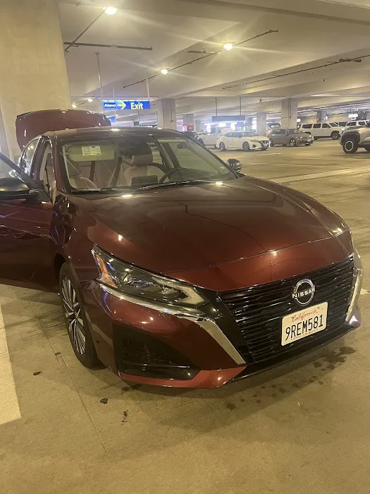 Alamo Rent A Car Picture 8