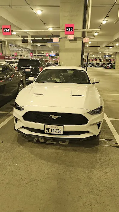 Avis Car Rental Picture 1